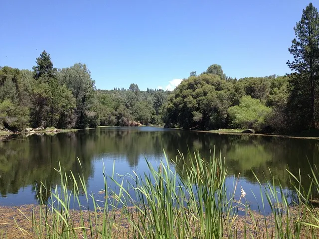ca