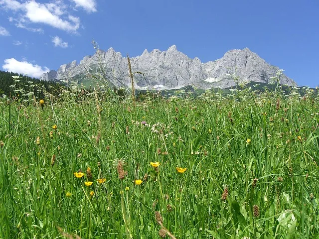 esterl und kaiser