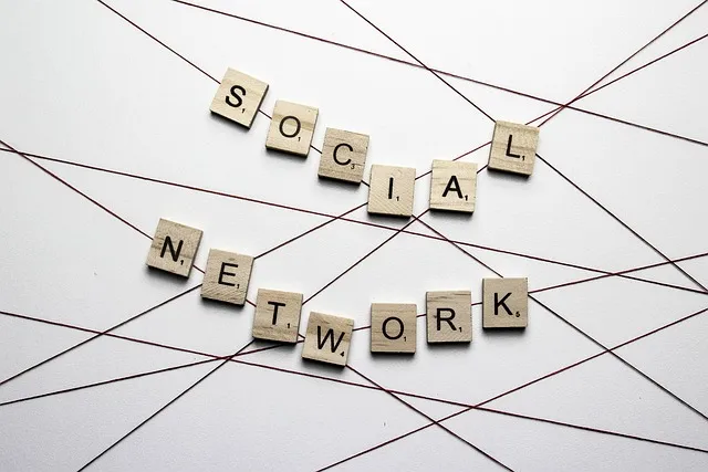 in network kaiser therapist