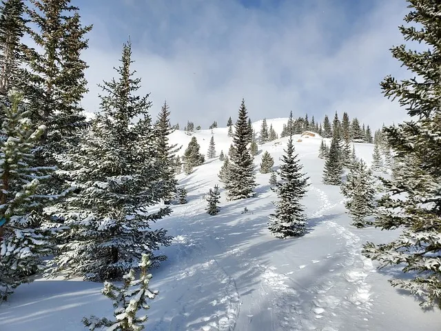 kaiser behavioral health colorado
