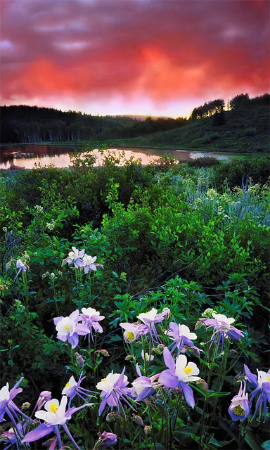 kaiser behavioral health colorado
