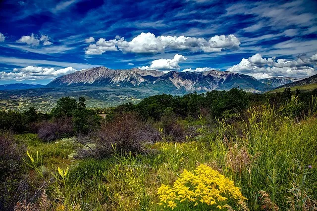 kaiser therapist colorado