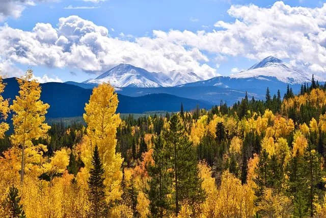 kaiser-therapist-colorado-640x480-4999980.jpeg