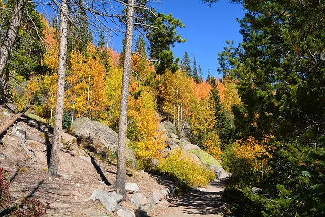 kaiser therapist colorado