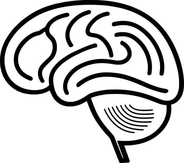 mental-health-640x480-11967388.png