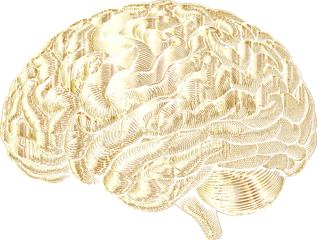 Depression Prevention: Strategies from Kaiser Permanente Mental Health Center, Arvada