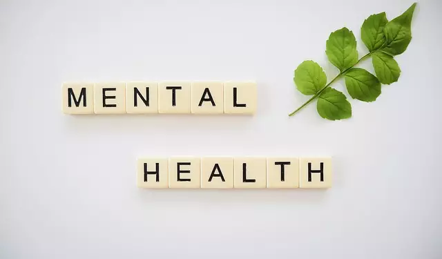 Evaluating Kaiser Permanente Mental Wellness Programs at Lone Tree Locations