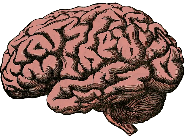 Stress Management Techniques: Empowering Boulder Residents via Kaiser Permanente Mental Health Department