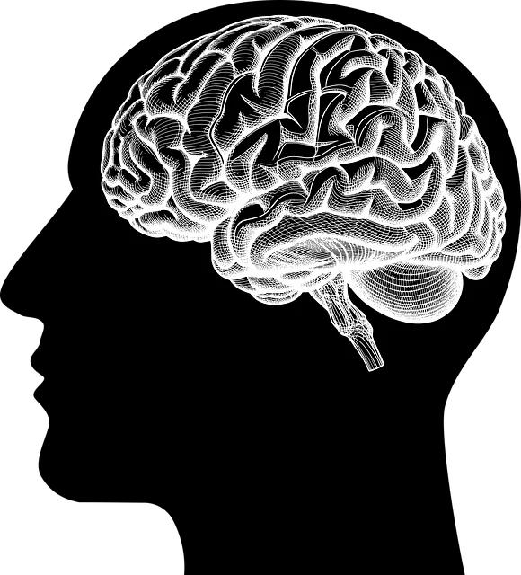 Cultural Sensitivity in Mental Healthcare: Kaiser Permanente Boulder’s Approach