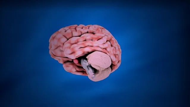 mental health