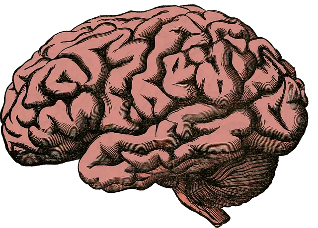 mental health