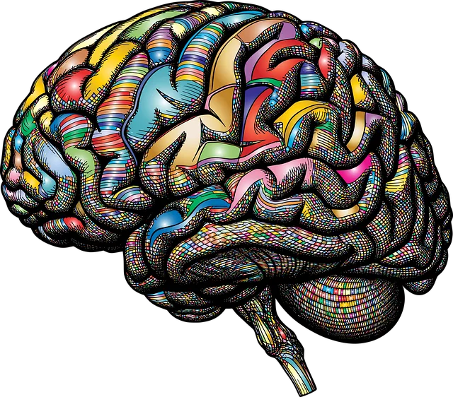 Analyzing Mental Health Data: Insights from Kaiser Permanente Lone Tree