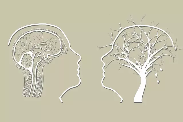 Promoting Mental Wellness: Kaiser Permanente Golden’s Impact and Everyday Strategies