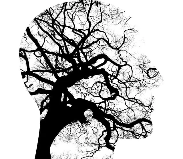 Cultural Sensitivity in Mental Healthcare: Lessons from Kaiser Permanente’s Lone Tree Locations