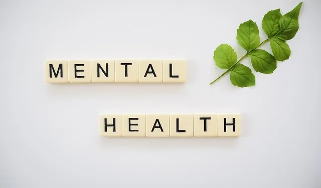 Denver Mental Health: Kaiser Permanente’s Outreach Programs Review & Strategies for Community Engagement