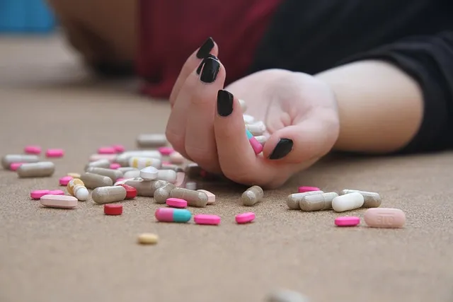 Mental Wellness Apps: Development, Trends, and Inpatient Services Comparison