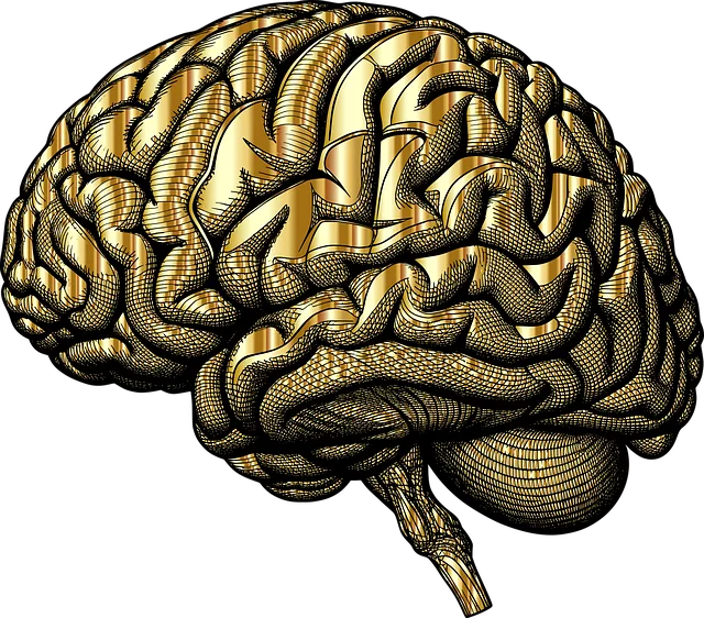 Mindfulness Meditation: Louisvile’s Kaiser Permanente Guide to Mental Well-being
