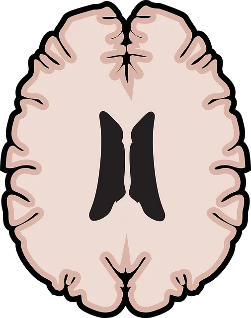 Lakewood Kaiser Permanente Psychiatry: Harm Minimization Through Comprehensive Risk Assessment