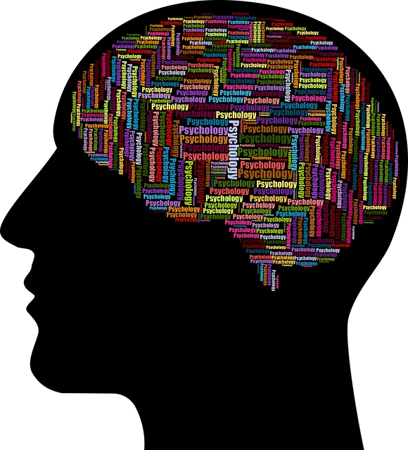 Mastering Stress: How Kaiser’s Resources Guide Mental Health Growth