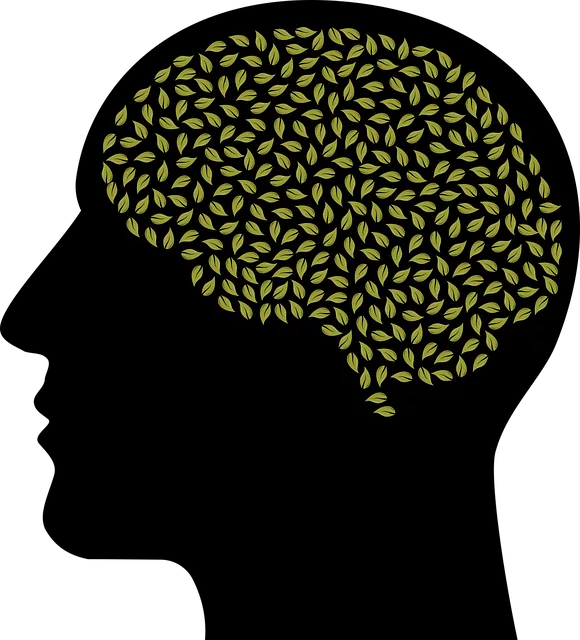 Kaiser Permanente Mental Health Englewood: Marketing App Success with Targeted Strategies