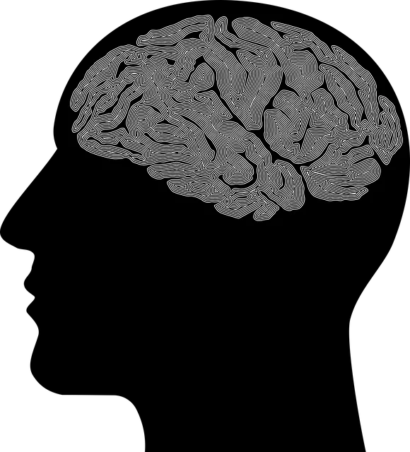 Risk Assessment & Harm Minimization: Safeguarding Patients in Mental Health Care