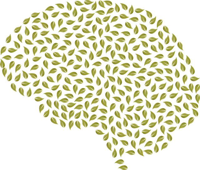 Cultivating Well-being: Integrating Positive Thinking Exercises with Kaiser Permanente’s Louisville Support