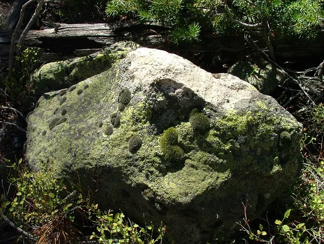 boulder-kaiser-counselor-640x480-88185165.jpeg