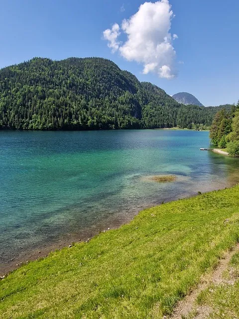 Broadmoor Kaiser Counselor