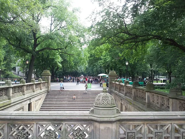 Central Park Kaiser Counselor