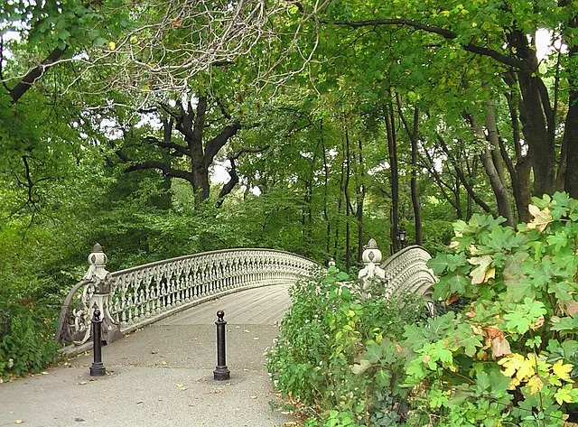 central-park-kaiser-counselor-640x480-32366470.jpeg