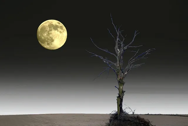 lone-tree-kaiser-counselor-640x480-80850355.jpeg