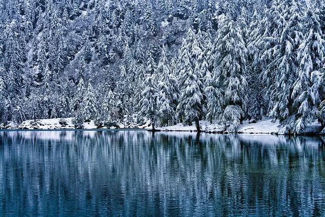 Sloan’s Lake Kaiser Counselor