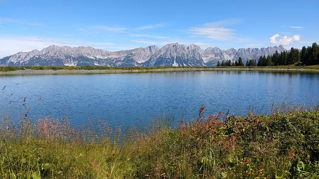Sloan’s Lake Kaiser Counselor