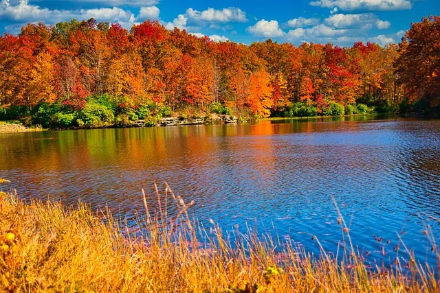 Washington Virginia Vale Kaiser Counselor