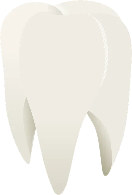 Natural Tooth Alignment: Comprehensive Orthodontic Care in Mission, TX