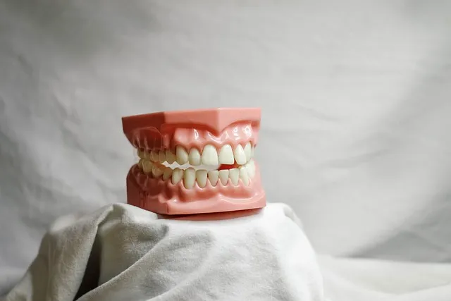 dental it support mcallen tx