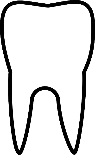 Dentist