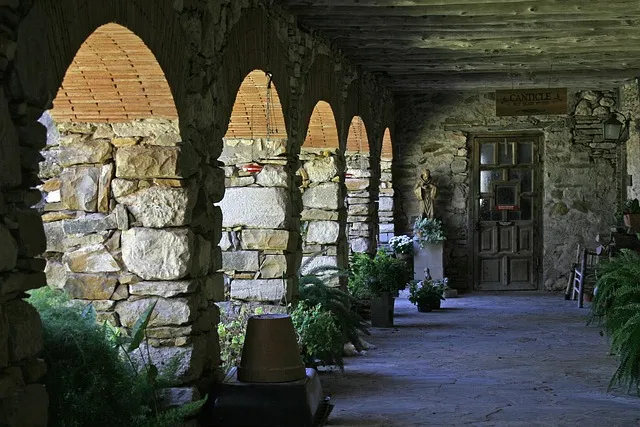 dentist in mission texas