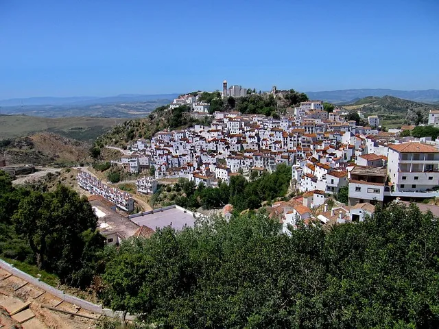 dr casares