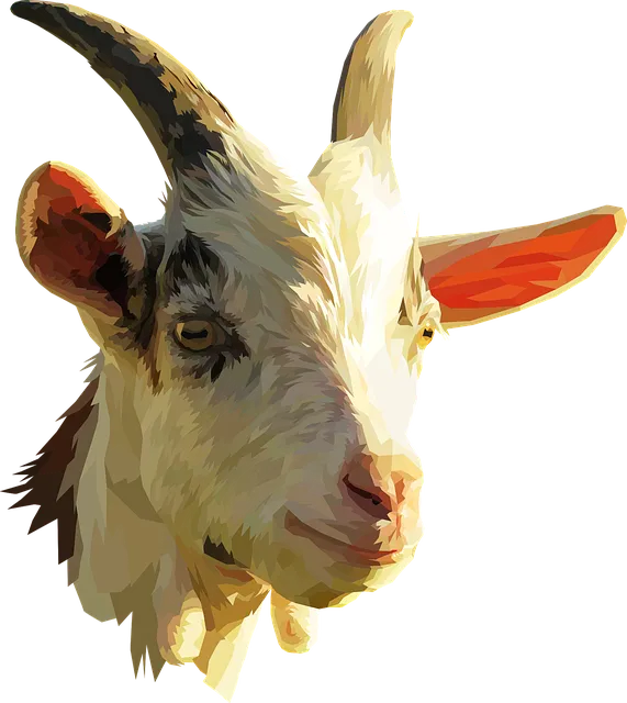low-cost-dentist-mcallen-tx-640x480-121710.png