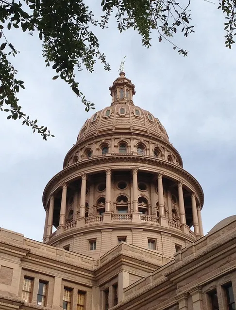 Heal Wholeheartedly: Your Comprehensive Guide to TX Transformation