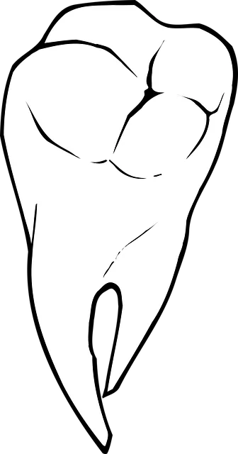 Transform Your Smile: Discover Cosmetic Dentistry in McAllen’s Heart