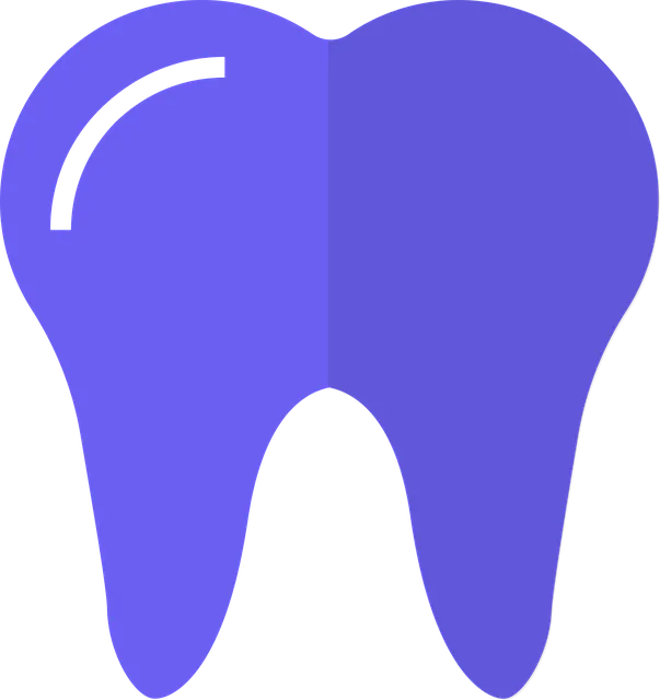 Where can I find affordable dental care in McAllen, TX