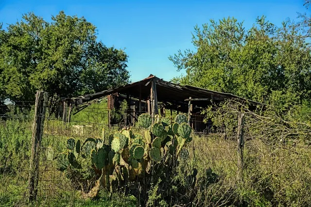 dds-mcallen-tx-640x480-21226799.jpeg