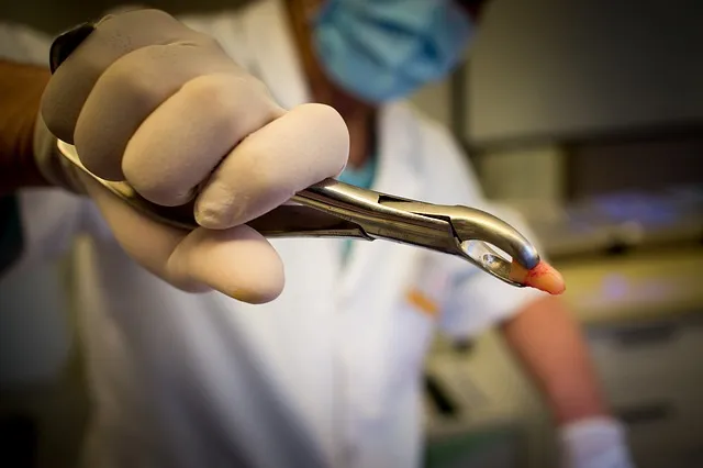 dental it consulting mcallen tx