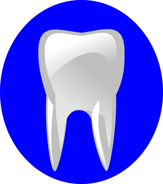 Dentist