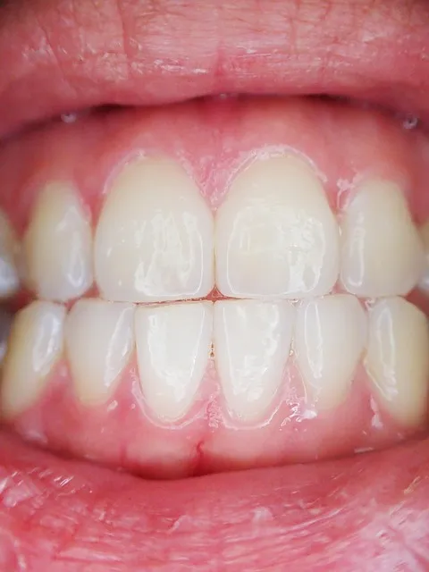 Dentist