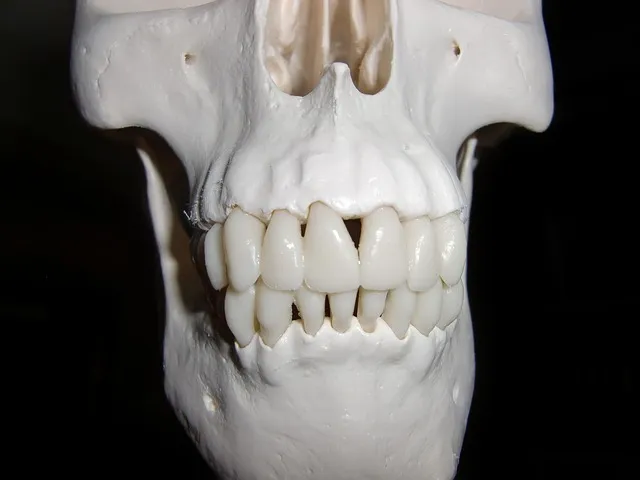 Dentist