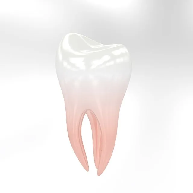 dentist on 10th street