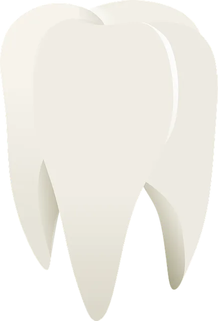 low cost dentist mcallen tx
